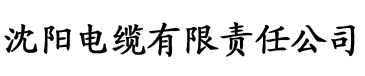 www.youjizz中文字幕电缆厂logo